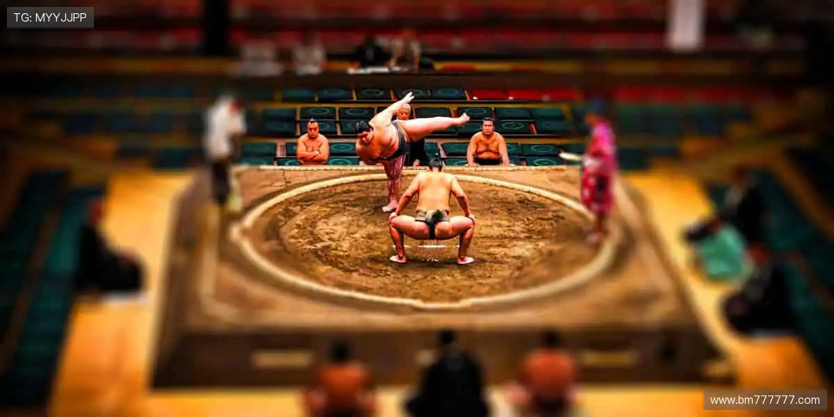 🔥 热血赛事，激情碰撞，官网直击现场心跳！